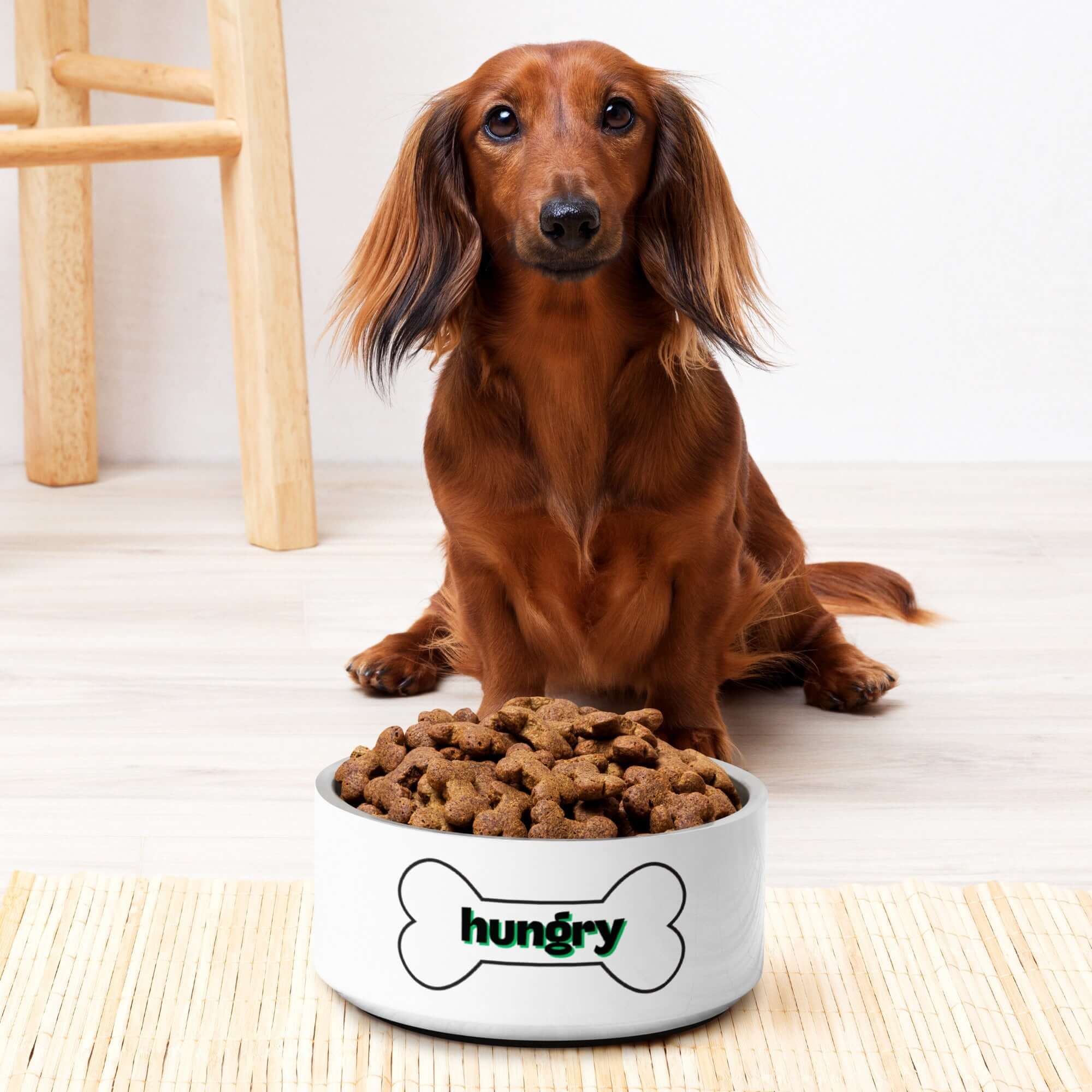 Hungry Dog Bowl - TAILWAGS UNLIMITED