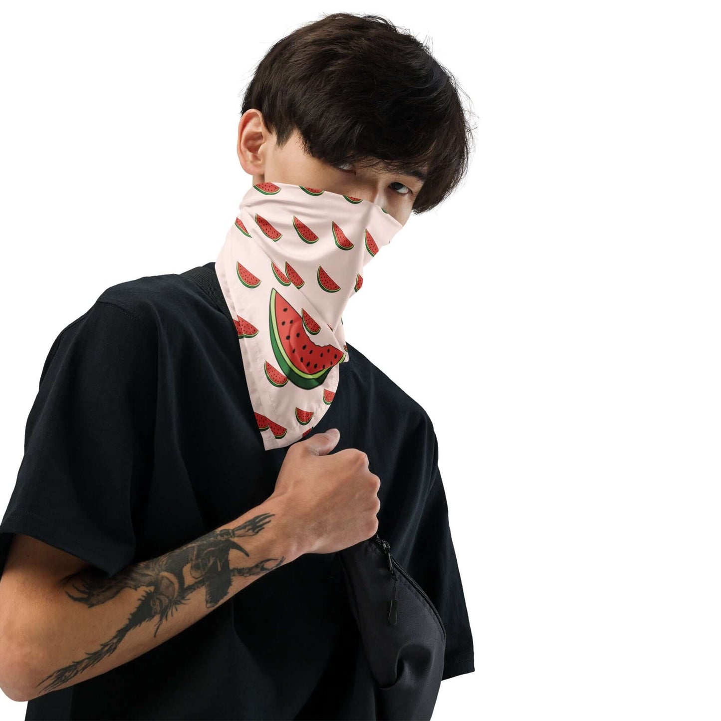Watermelon Dog Bandana - TAILWAGS UNLIMITED